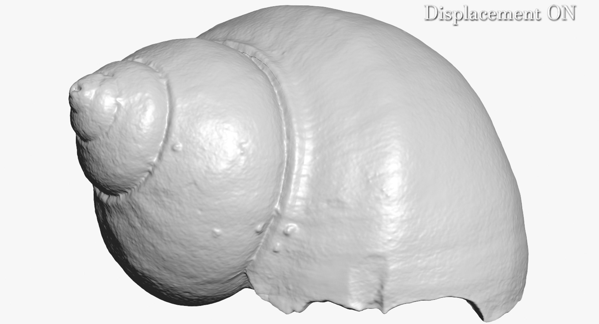3d model of snail shell https://p.turbosquid.com/ts-thumb/dP/o3dxfZ/qdpVGjLH/camera002_displaceon001/jpg/1447364887/1920x1080/fit_q87/06733a9e59a14b95624e361767a3eb0e4d9e80f6/camera002_displaceon001.jpg
