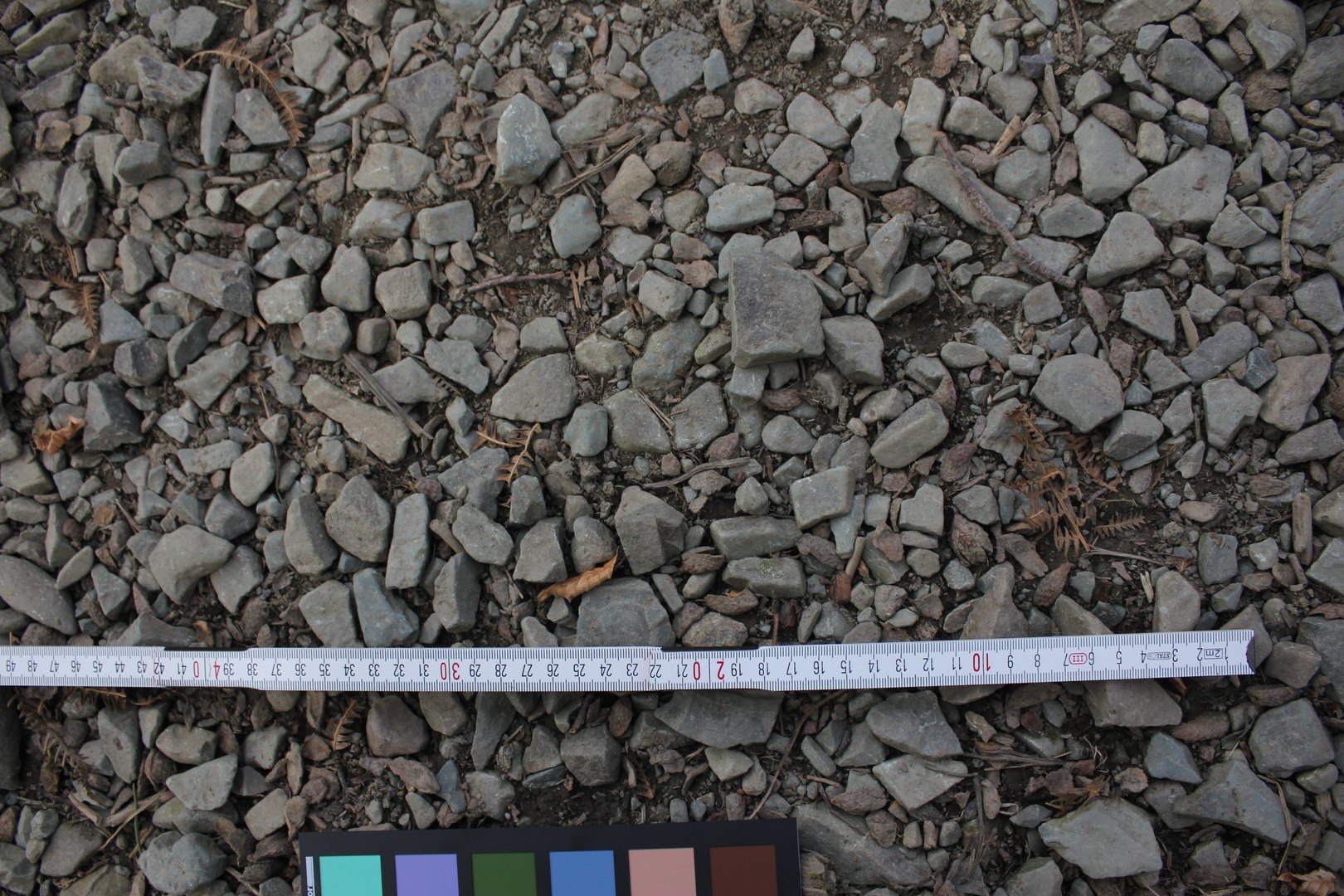 Photoscan Material - Forest Gravel Path - 120cm 3D Model - TurboSquid ...