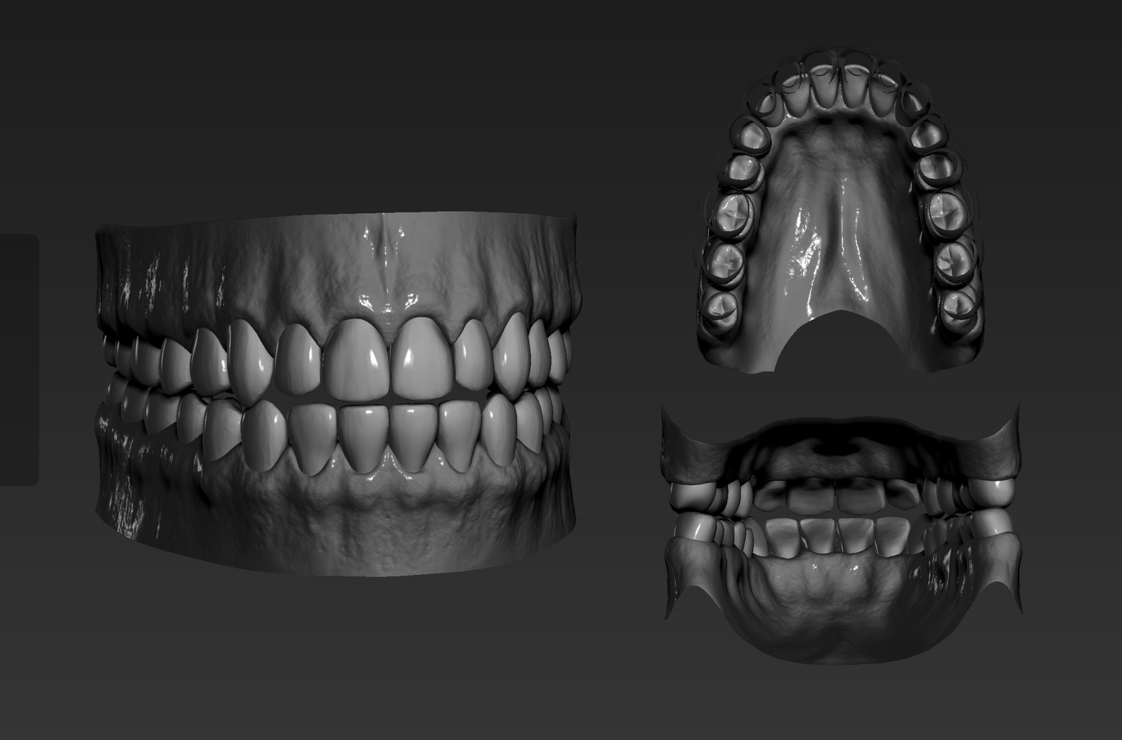 Teeth Model - TurboSquid 1736936