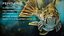 Fantasy Fish Pack 1 - Aqua Life - Underwater Creature - 35