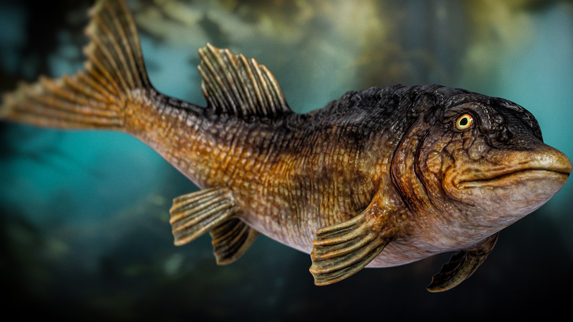 Fantasy Fish Pack 1 - Aqua Life - Underwater Creature - 35 3D model https://p.turbosquid.com/ts-thumb/dQ/PTSphi/oQ/5fish6/jpg/1711482386/1920x1080/fit_q87/12faa6bff0264d8ef2f5966810908af7f952688d/5fish6.jpg