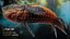 Fantasy Fish Pack 1 - Aqua Life - Underwater Creature - 35