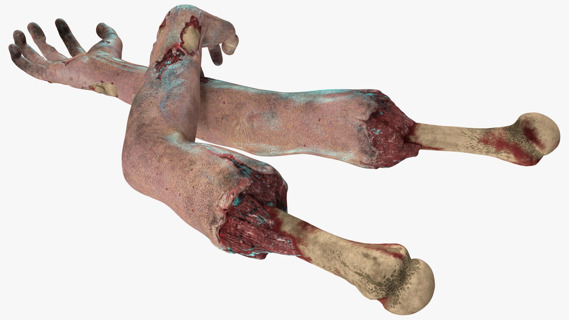 3D Bloody Zombie Arms Rigged model https://p.turbosquid.com/ts-thumb/dQ/Pxjk9A/YM/bloody_zombie_arms_rigged_010/jpg/1744131202/1920x1080/fit_q87/052a653b4545e666f1d15e320f94d3e91913db7a/bloody_zombie_arms_rigged_010.jpg