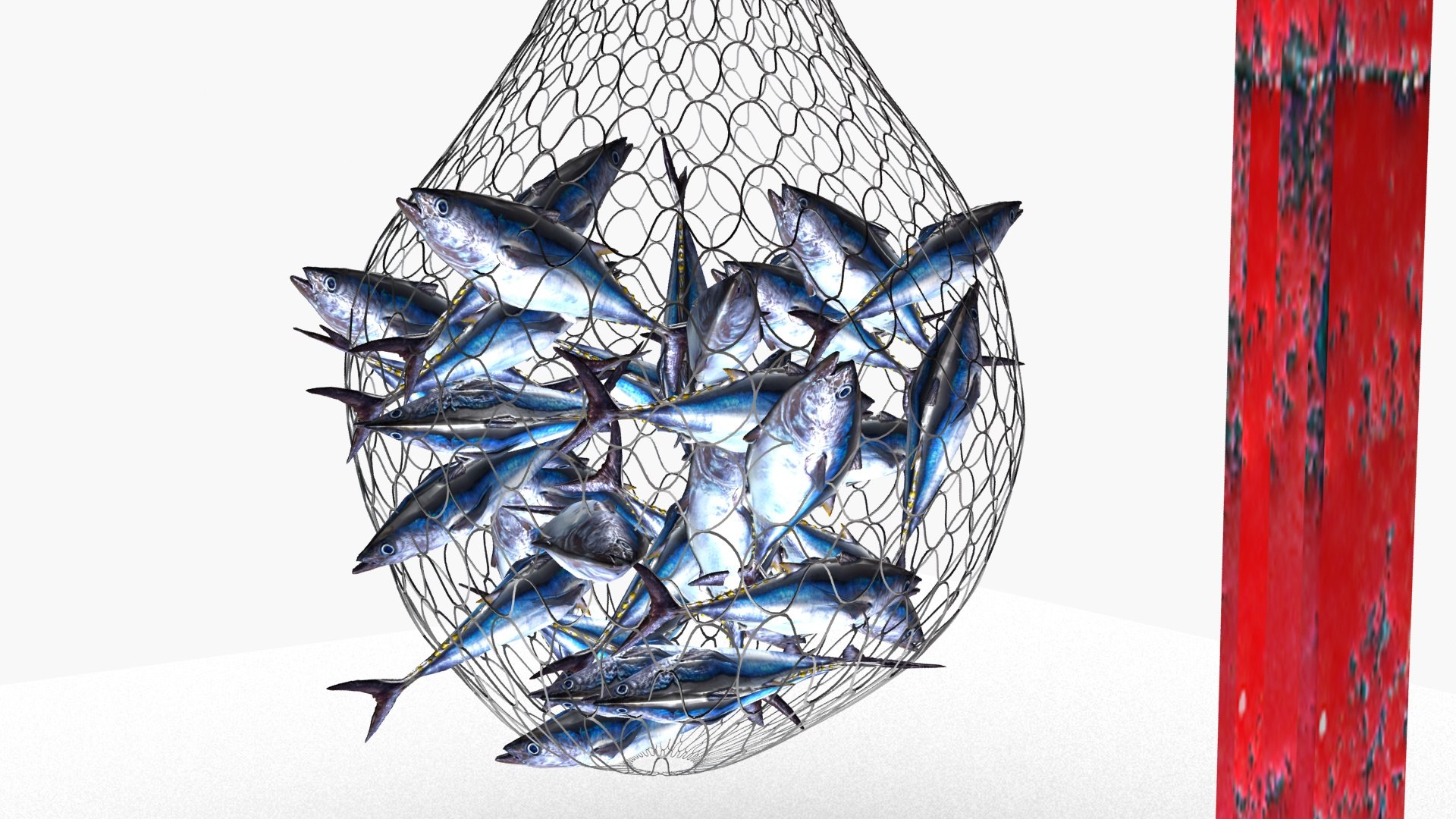 3D Fish Net - TurboSquid 1831557