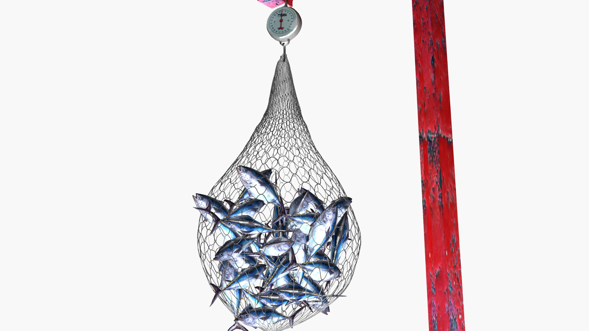 3D Fish net - TurboSquid 1831557