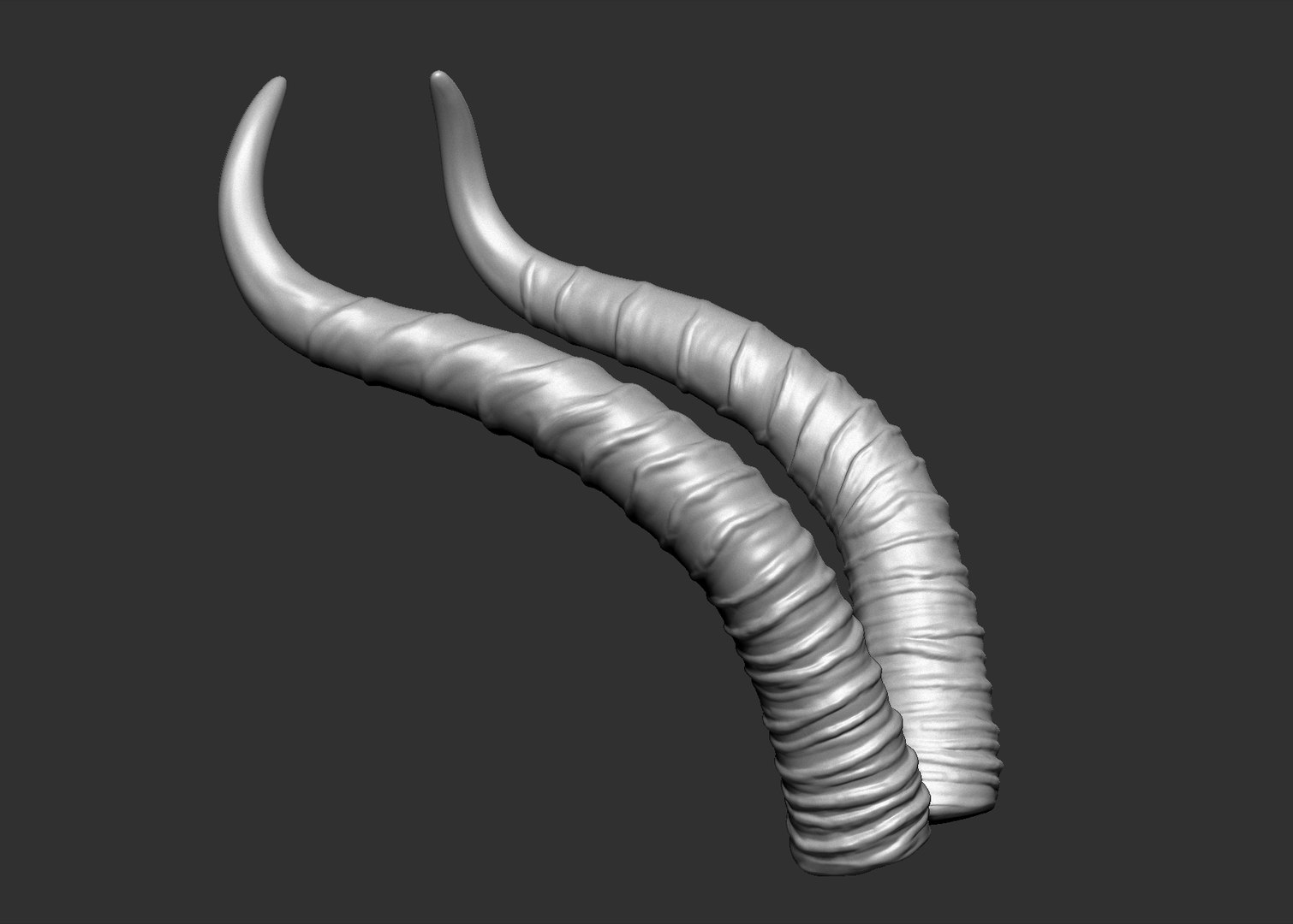 3D gerenuk antelope horns https://p.turbosquid.com/ts-thumb/dQ/ZPMAK5/AzMFCtCi/3/jpg/1567880207/1920x1080/fit_q87/a8b7186b6a2f0faa2f99d5409be5eabdea149ec0/3.jpg