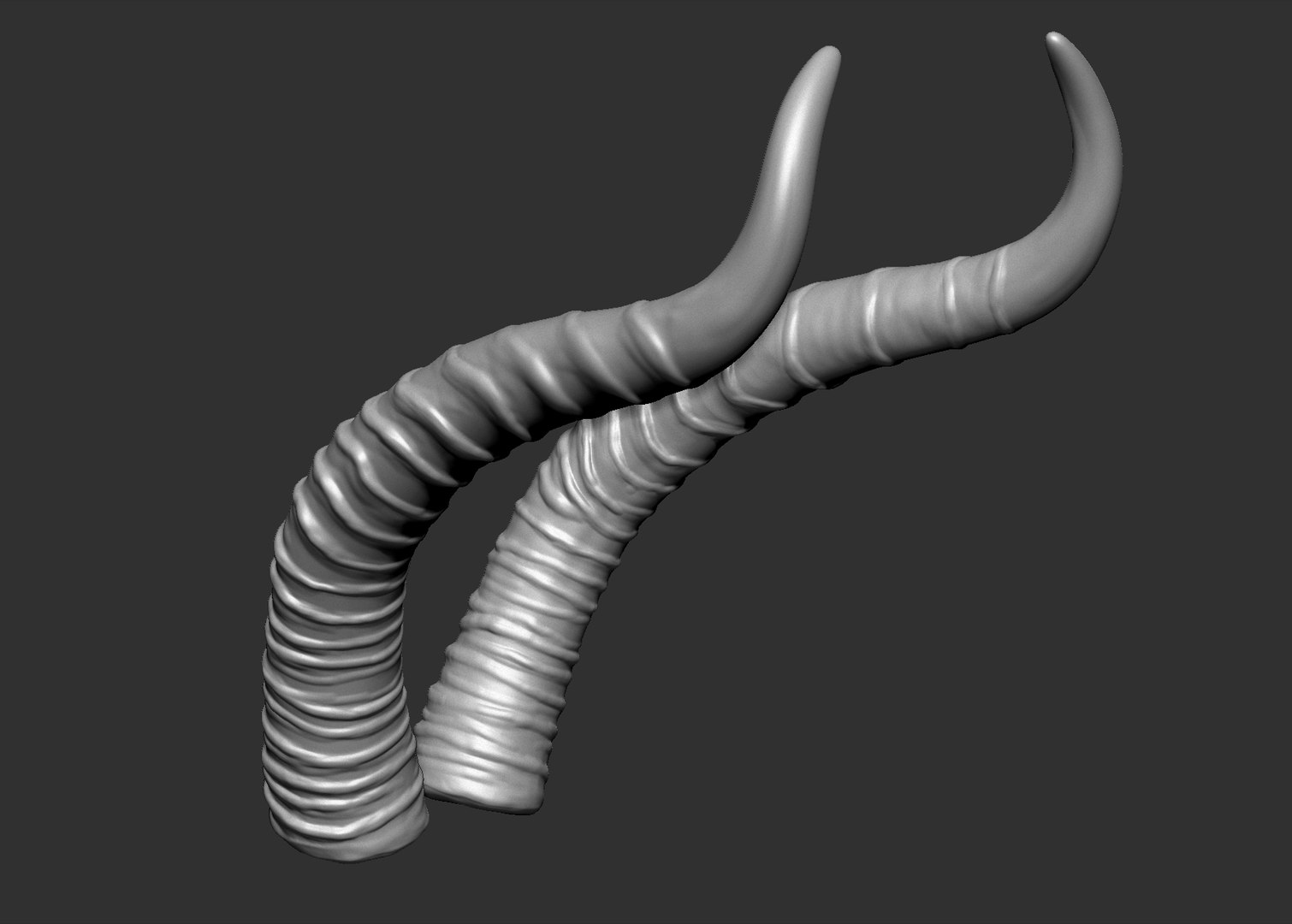 3D gerenuk antelope horns https://p.turbosquid.com/ts-thumb/dQ/ZPMAK5/CA1KGdGB/6/jpg/1567880207/1920x1080/fit_q87/5e1235f45a3fb23a8320eecb9184e066d5326070/6.jpg