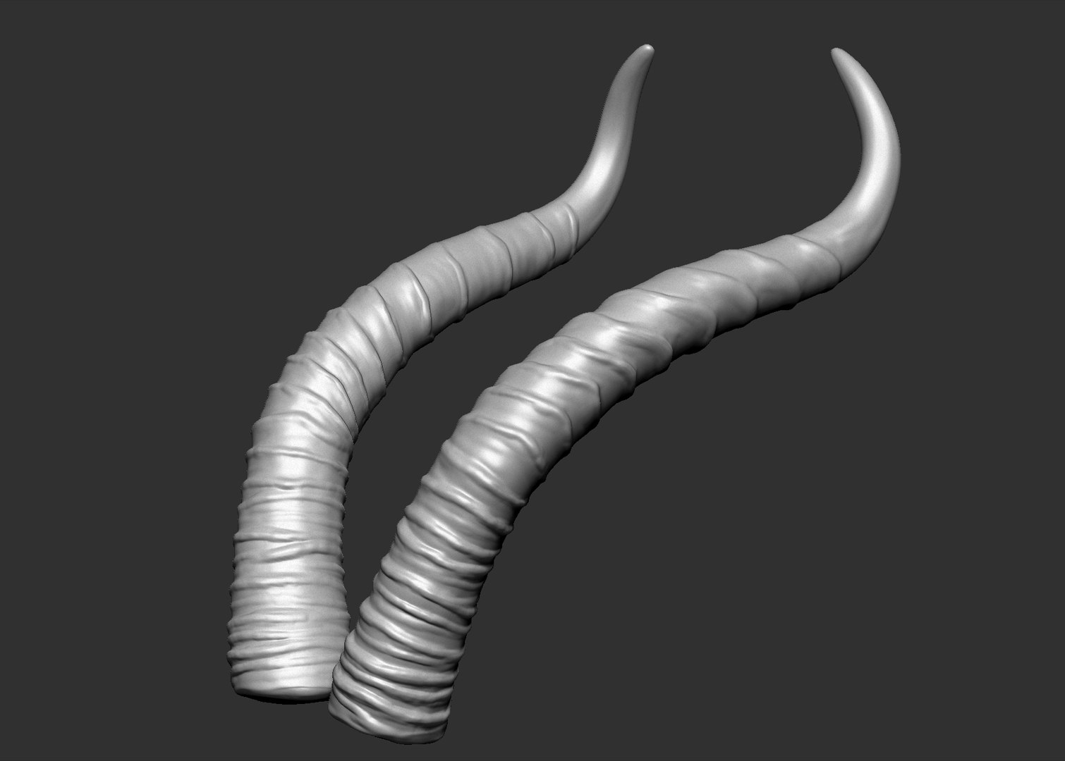3D gerenuk antelope horns https://p.turbosquid.com/ts-thumb/dQ/ZPMAK5/JJ9vnNJV/7/jpg/1567880207/1920x1080/fit_q87/610c93d9682c3e770f259e78f0092449c545912a/7.jpg