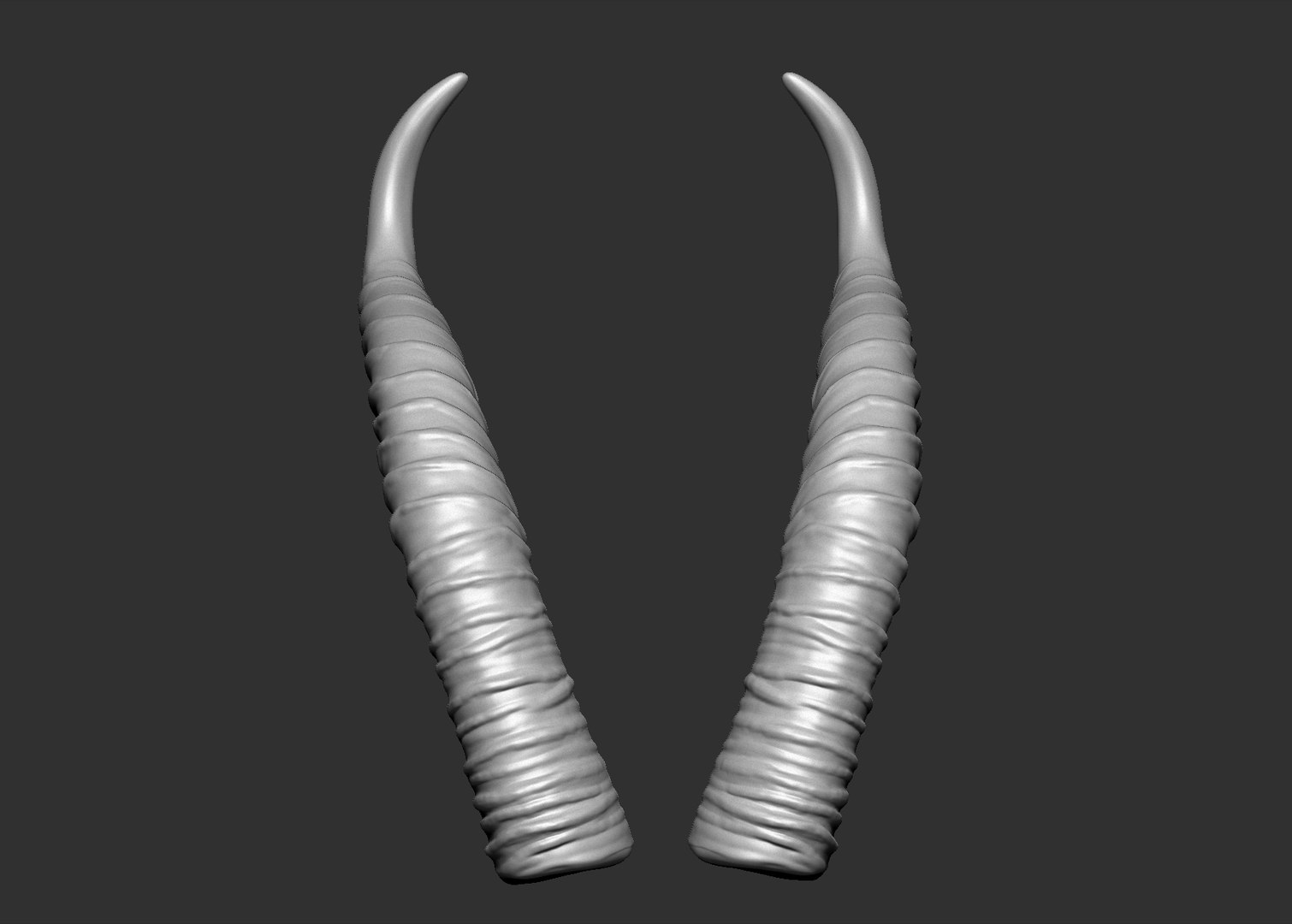 3D gerenuk antelope horns https://p.turbosquid.com/ts-thumb/dQ/ZPMAK5/WCQE8LNo/1/jpg/1567880207/1920x1080/fit_q87/e88a27f04002a70cce9368d1117c952cf9632fe0/1.jpg