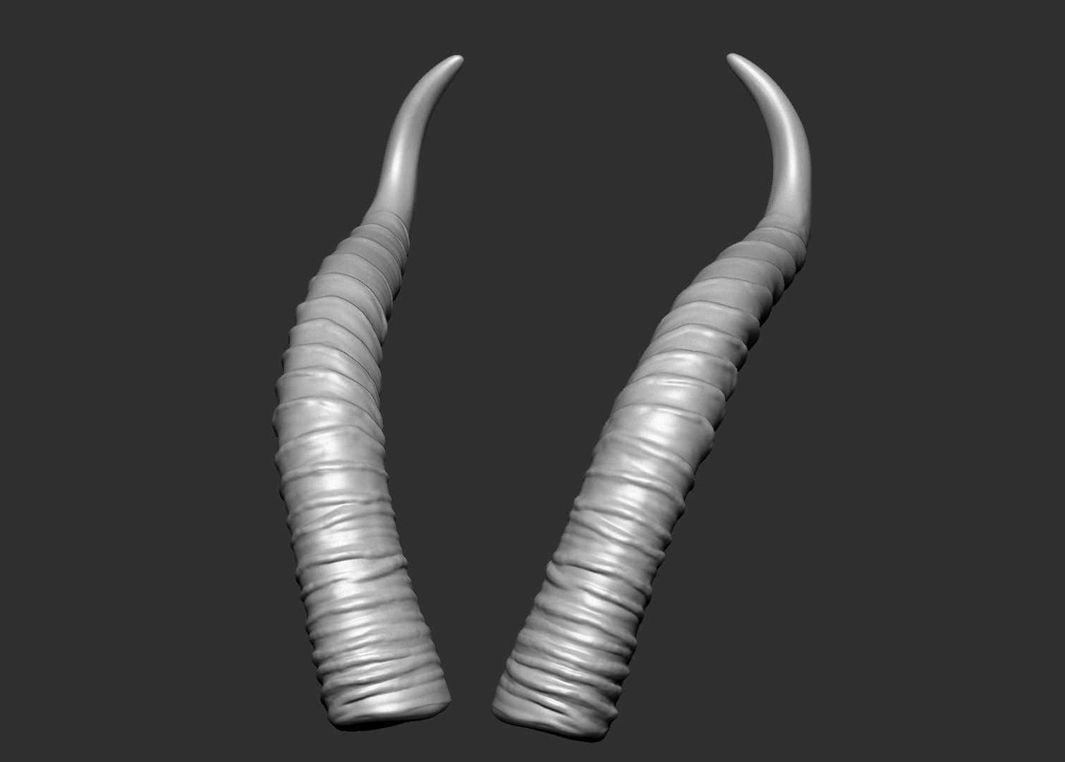 3D gerenuk antelope horns https://p.turbosquid.com/ts-thumb/dQ/ZPMAK5/Walee9hE/8/jpg/1567880207/1920x1080/fit_q87/e961d78a1d46f0b86b13f88cb8e80a769bb9abea/8.jpg