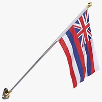 USA States hawaii Cloth Flag Wall Mount Animated Loop