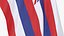 USA States hawaii Cloth Flag Wall Mount Animated Loop