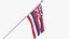 USA States hawaii Cloth Flag Wall Mount Animated Loop