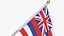 USA States hawaii Cloth Flag Wall Mount Animated Loop