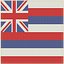 USA States hawaii Cloth Flag Wall Mount Animated Loop