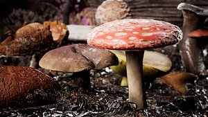 Mushrooms Package 150 Assets model