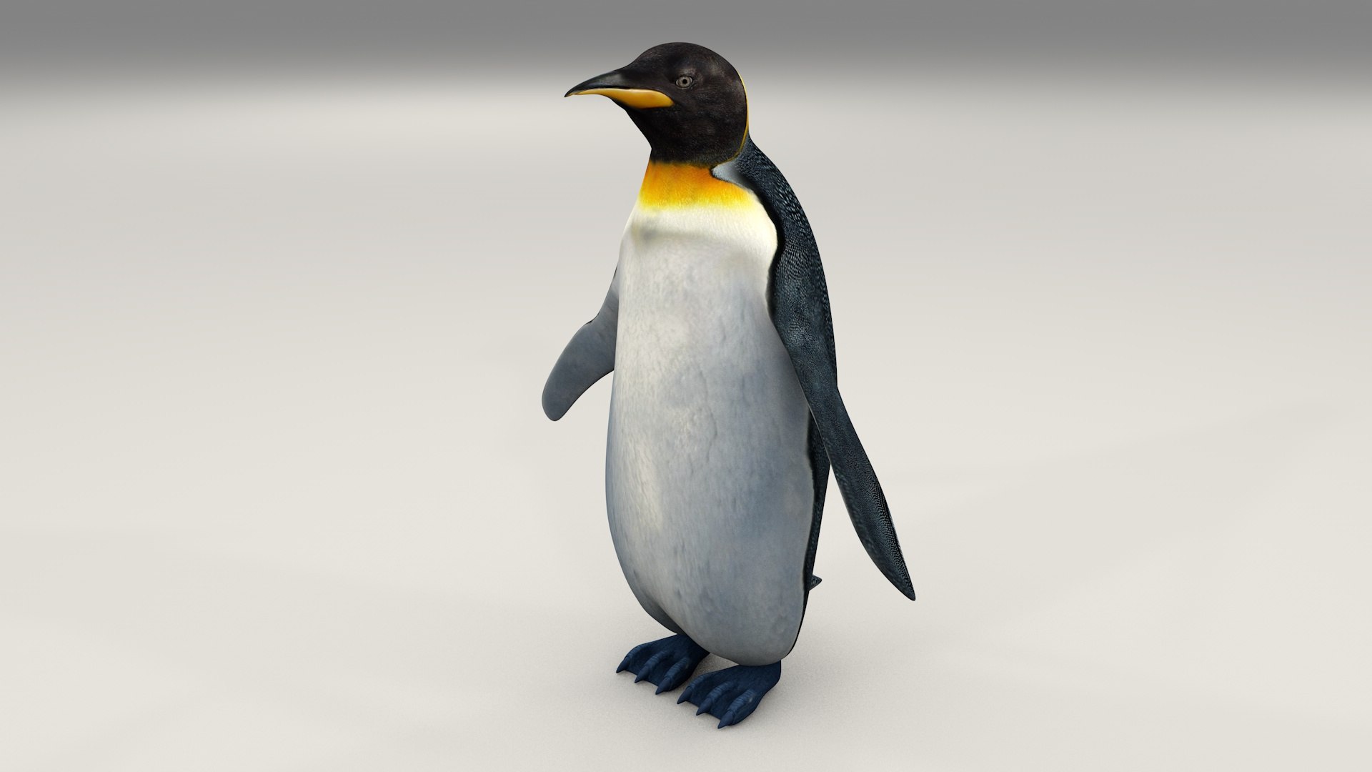 Penguin 3d Model Turbosquid 1522173