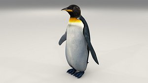 Penguin