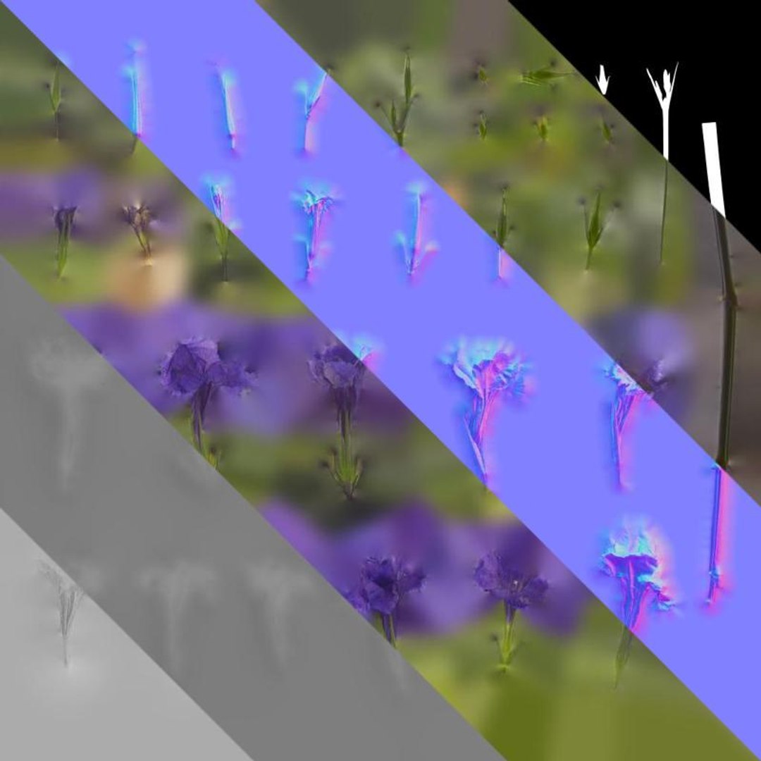 3D Anydrafts Ruellia Simplex Flower 01 Textures Model - TurboSquid 2358486