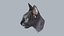 Sphynx Head