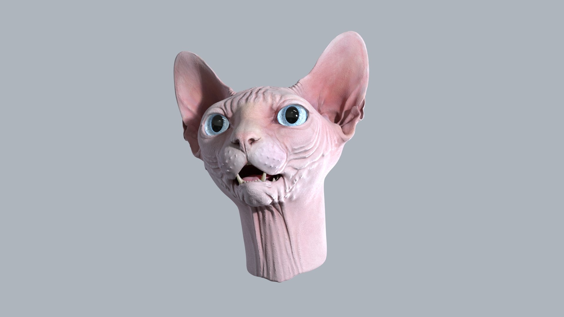 Sphynx Head model https://p.turbosquid.com/ts-thumb/dQ/urtZU1/Aj/sphynx_cat_head_14/jpg/1625240315/1920x1080/fit_q87/fad10afc915d40ee63458dc33f8247f473bb8251/sphynx_cat_head_14.jpg