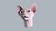 Sphynx Head
