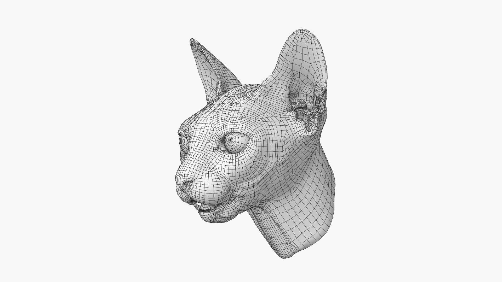 Sphynx Head model https://p.turbosquid.com/ts-thumb/dQ/urtZU1/Hi/sphynx_cat_head_wireframe_01/jpg/1625240319/1920x1080/fit_q87/3f8ee612cc08d052b86174c417914f2b2e8e9ddb/sphynx_cat_head_wireframe_01.jpg