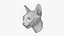 Sphynx Head