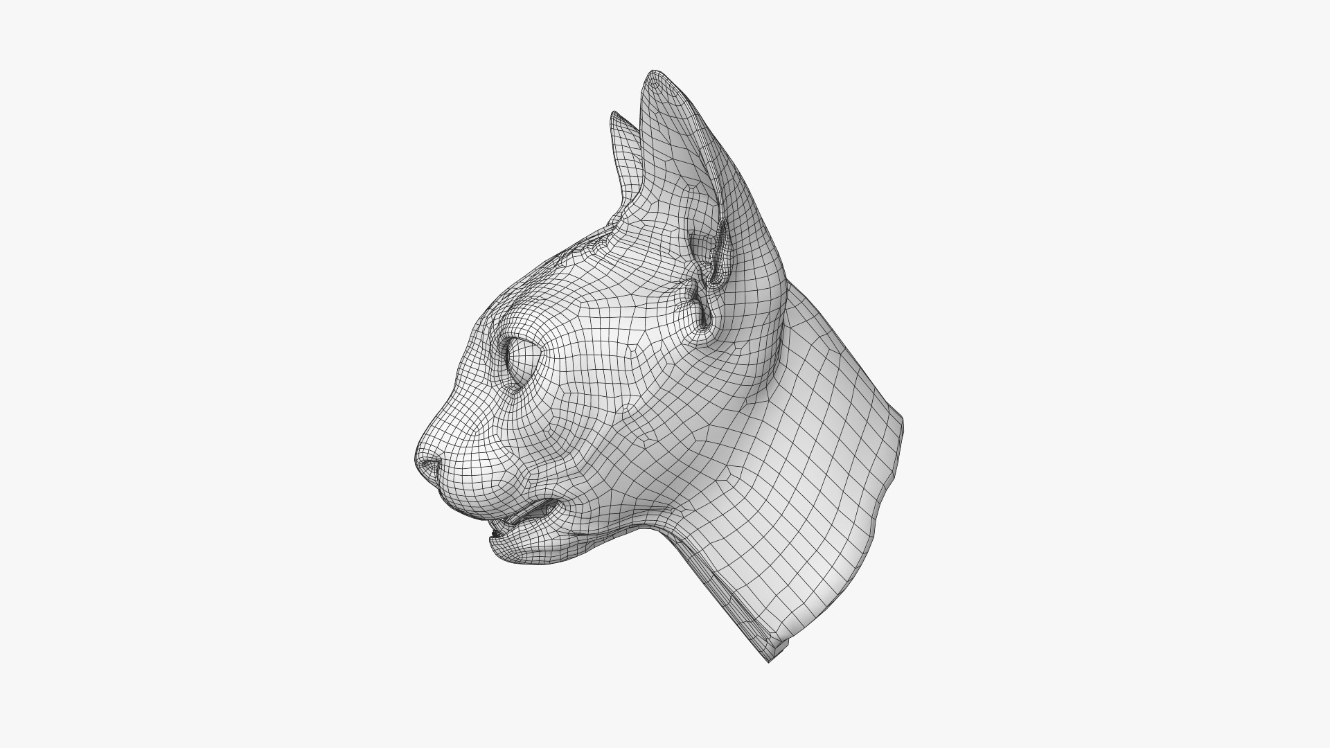 Sphynx Head model https://p.turbosquid.com/ts-thumb/dQ/urtZU1/IS/sphynx_cat_head_wireframe_03/jpg/1625240318/1920x1080/fit_q87/d4782fdc47f952b7f569acc72f32e526239fe260/sphynx_cat_head_wireframe_03.jpg