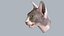 Sphynx Head