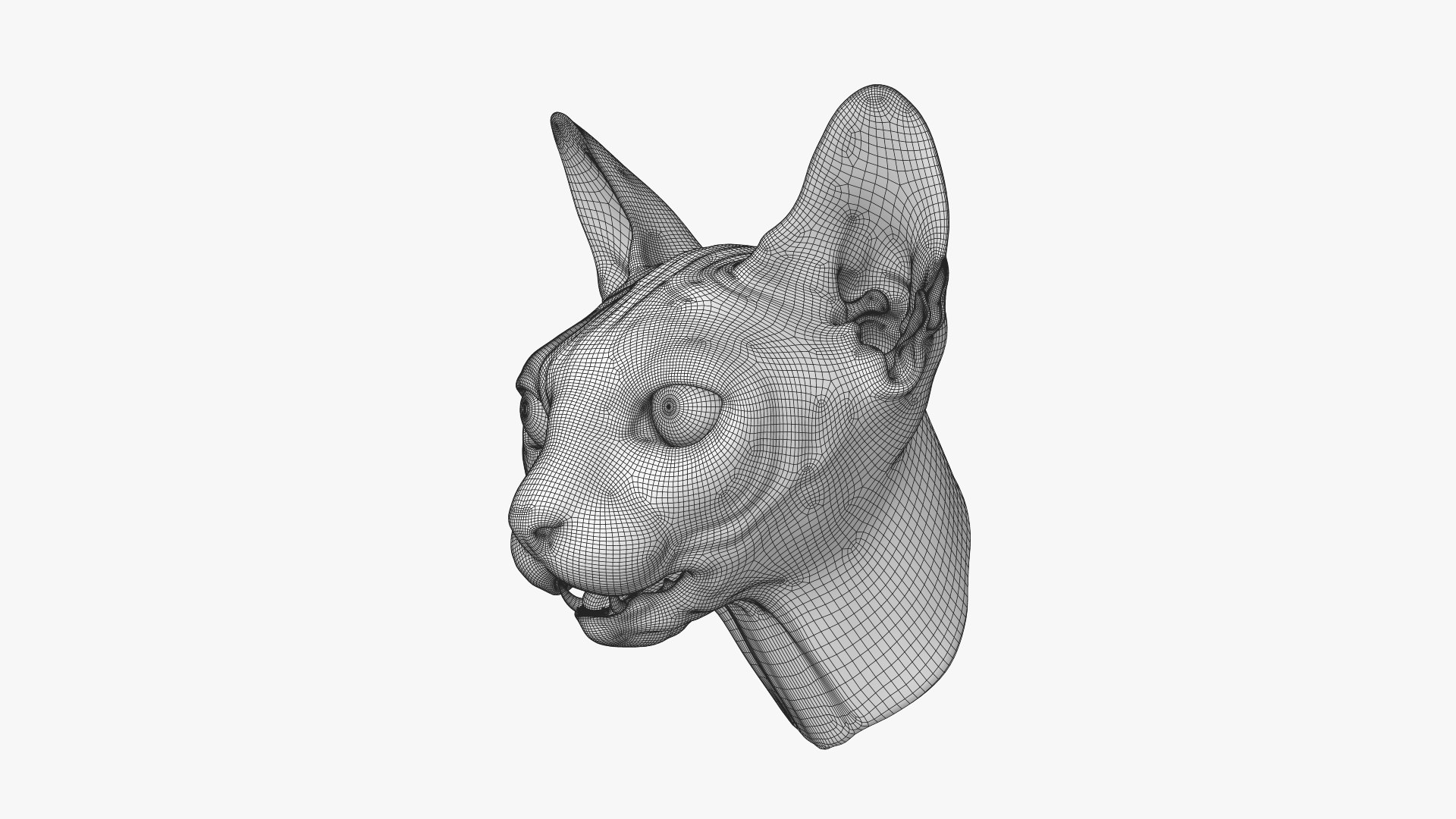 Sphynx Head model https://p.turbosquid.com/ts-thumb/dQ/urtZU1/ie/sphynx_cat_head_wireframe_02/jpg/1625240319/1920x1080/fit_q87/61e9115f1bdc0b281dc36683a39a584410f4f5c1/sphynx_cat_head_wireframe_02.jpg
