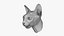 Sphynx Head