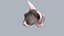 Sphynx Head