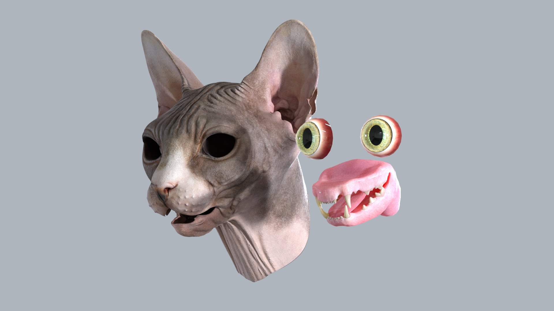 Sphynx Head model https://p.turbosquid.com/ts-thumb/dQ/urtZU1/lq/sphynx_cat_head_19/jpg/1625240316/1920x1080/fit_q87/36b57e1020b8669d5183ff36db265b98cce04d98/sphynx_cat_head_19.jpg