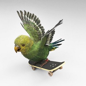 3D Parrot1