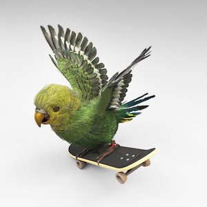 Parrot1