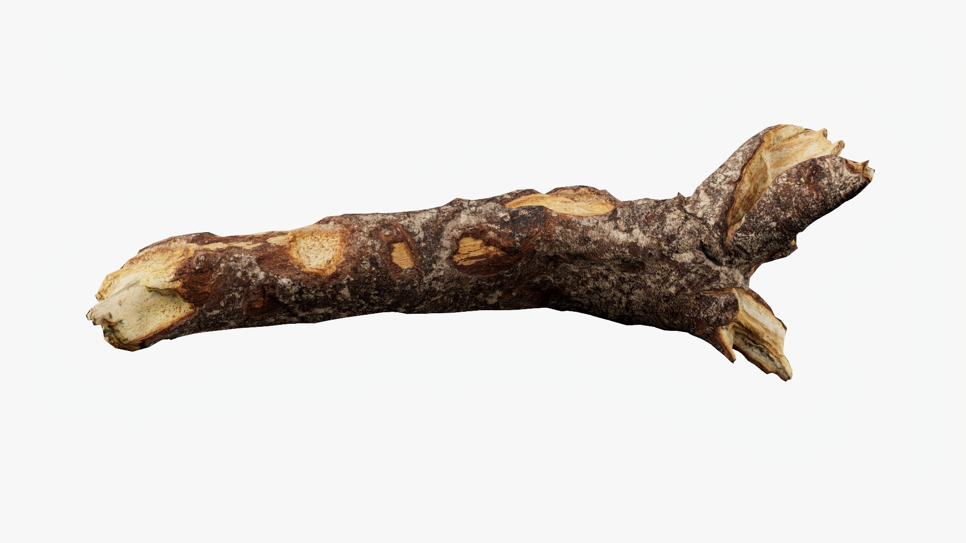 Scanned Tree Wood 10 3D model https://p.turbosquid.com/ts-thumb/dR/2i8pTb/61/b10_p06/jpg/1748427935/1920x1080/fit_q87/084bd201b913c7fb793d761d3f5e29cc25ffca74/b10_p06.jpg