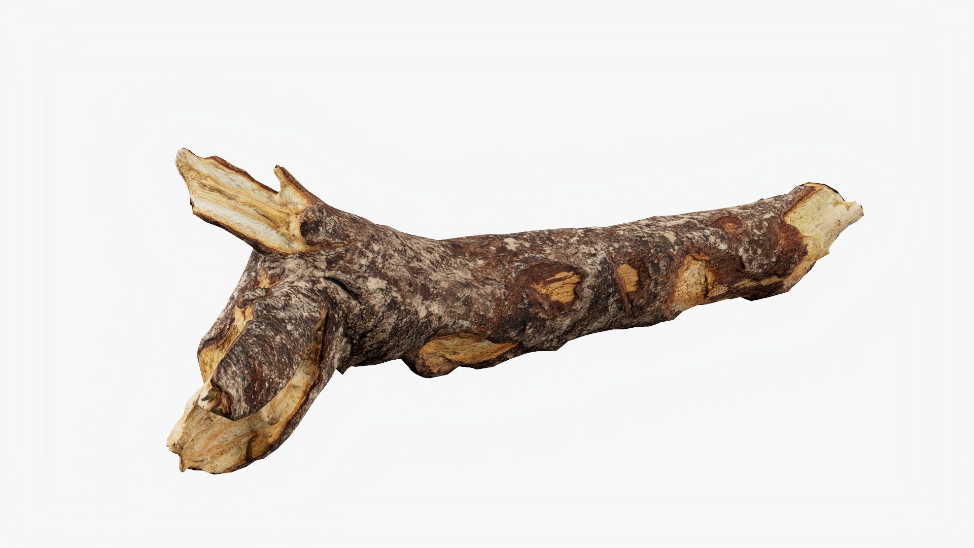 Scanned Tree Wood 10 3D model https://p.turbosquid.com/ts-thumb/dR/2i8pTb/Tf/b10_p05/jpg/1748427934/1920x1080/fit_q87/e4cbc88be72eba74f05493be7e6a46754e533824/b10_p05.jpg