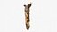 Scansionato Albero Legno 10