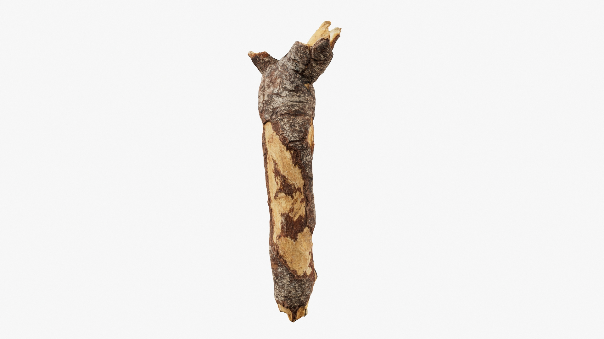 Scanned Tree Wood 10 3D model https://p.turbosquid.com/ts-thumb/dR/2i8pTb/go/b10/jpg/1748427945/1920x1080/turn_fit_q99/1920552f2ce28228979c4c611a219df61affdf56/b10-1.jpg