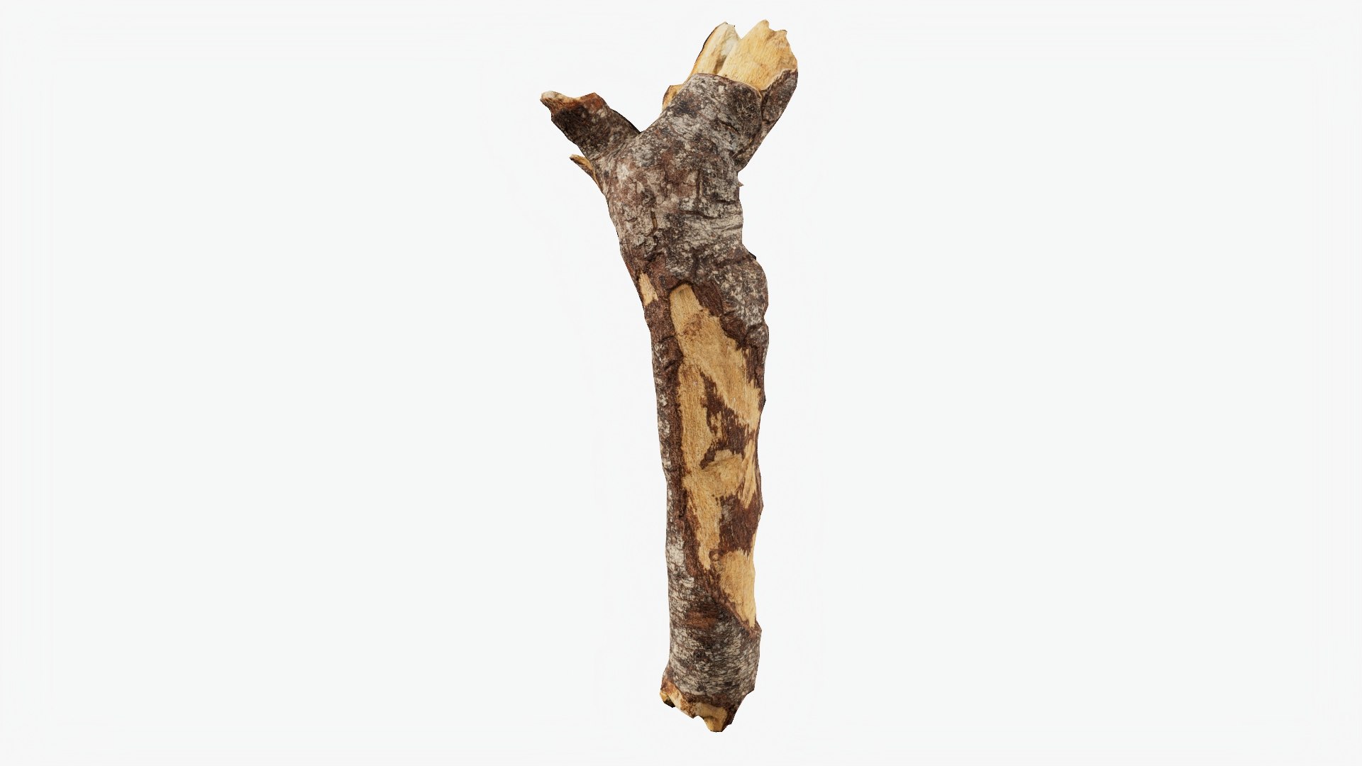 Scanned Tree Wood 10 3D model https://p.turbosquid.com/ts-thumb/dR/2i8pTb/vc/b10_p01/jpg/1748427932/1920x1080/fit_q87/f6924dfd152ebe9f76aab1b932b07d27d4add182/b10_p01.jpg