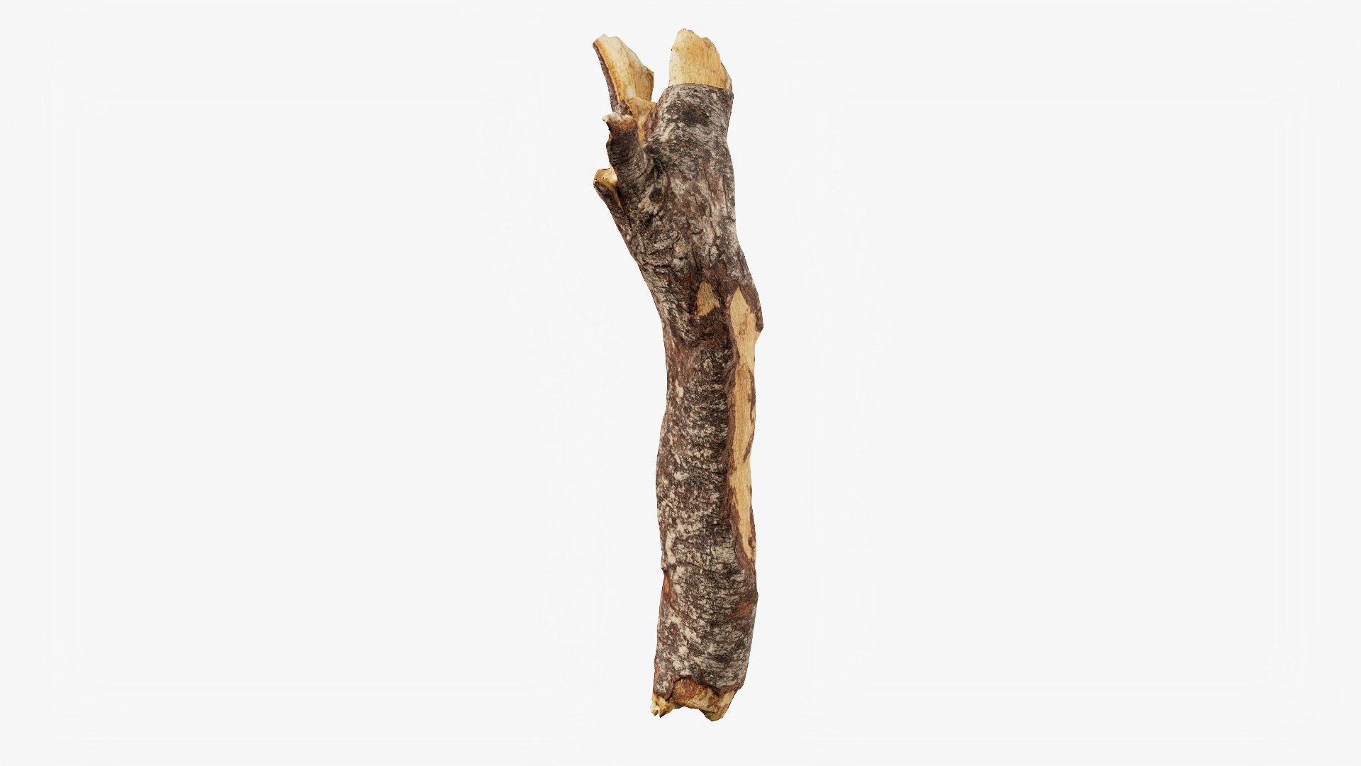 Scanned Tree Wood 10 3D model https://p.turbosquid.com/ts-thumb/dR/2i8pTb/xq/b10_p02/jpg/1748427933/1920x1080/fit_q87/83cf43aa5c6e9a1d0f18cc735e3ed891bb7bab23/b10_p02.jpg