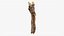 Scansionato Albero Legno 10