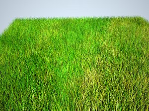 free grass 3d model