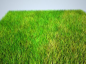 Free Minecraft Grass Block model - TurboSquid 1824543