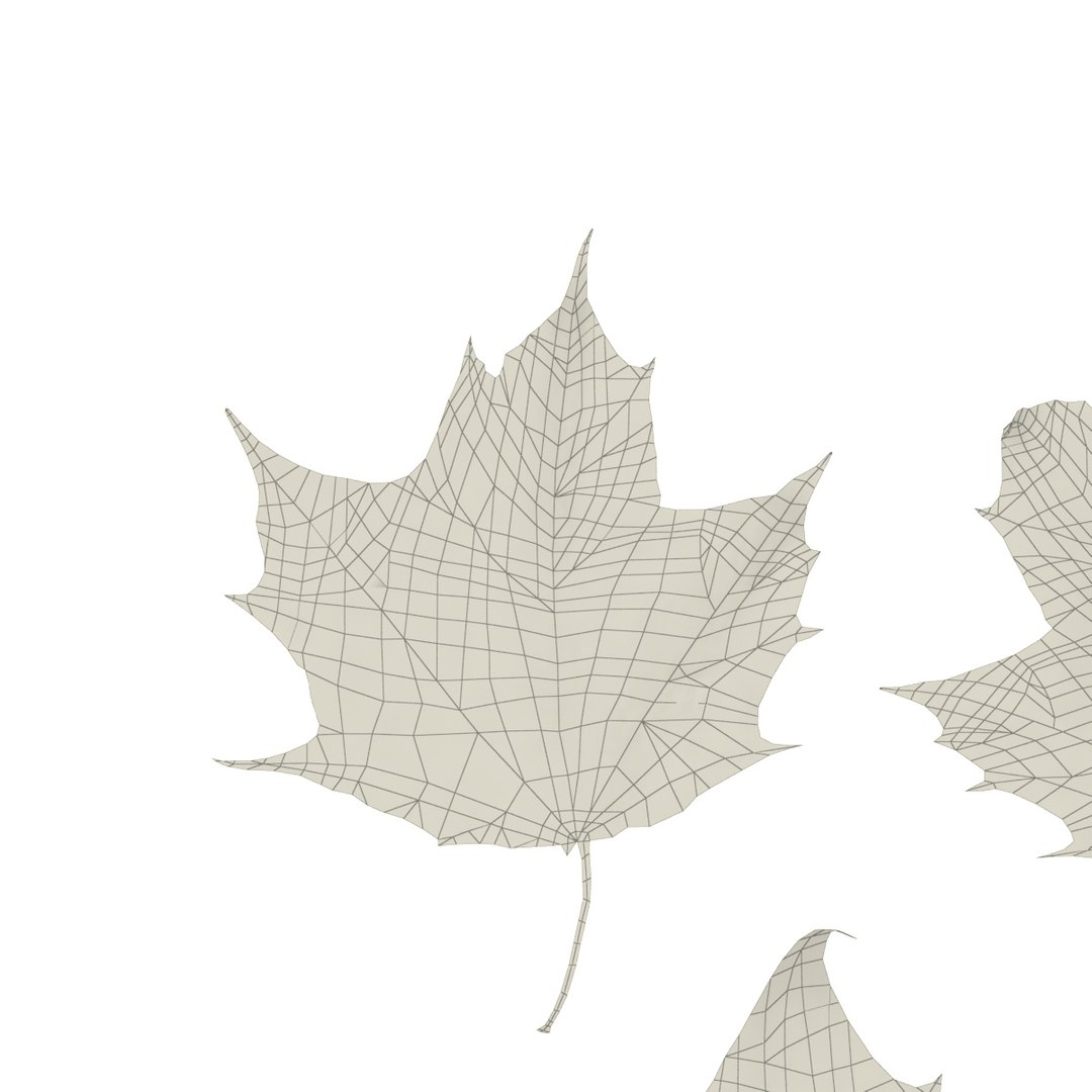3D autumn leaf maple leaves model https://p.turbosquid.com/ts-thumb/dR/SHSTio/LS4JdBHC/5/jpg/1571998416/1920x1080/fit_q87/0b1244dd2ba5275339c8e68bd25dbd49ba958df6/5.jpg