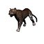 Leopard(1)