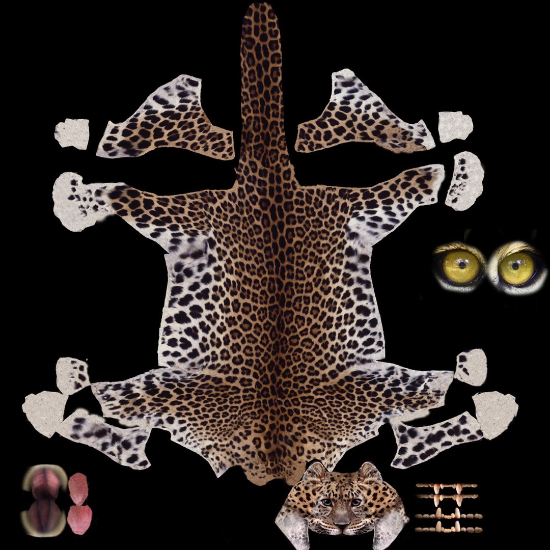 3d model leopard animation https://p.turbosquid.com/ts-thumb/dR/bC1Qym/SssZ3MxY/15/jpg/1320946349/1920x1080/fit_q87/d4a126bbdcfb7b2dd78ad253f9f46b80cc6cf8fc/15.jpg