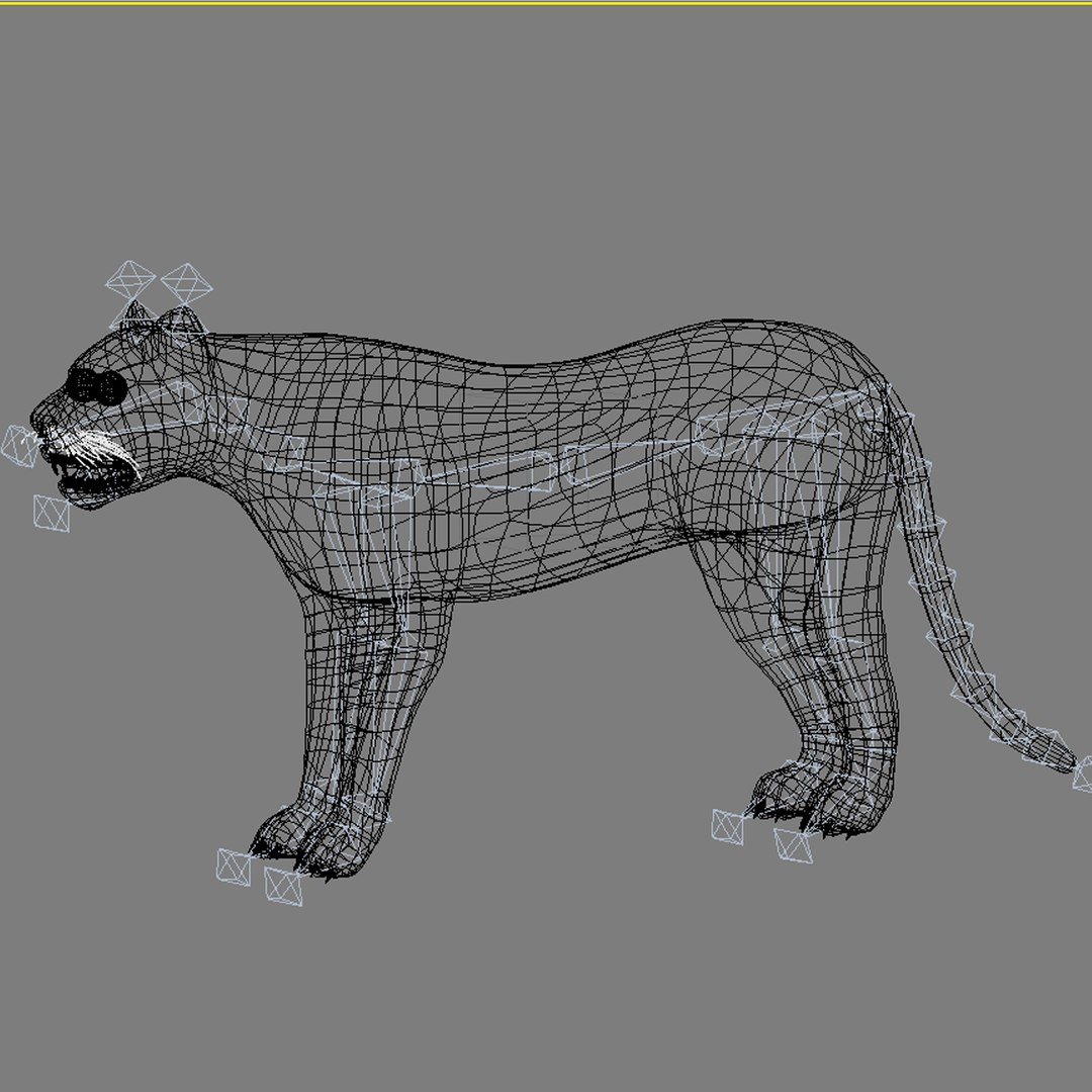 3d model leopard animation https://p.turbosquid.com/ts-thumb/dR/bC1Qym/UnNSF8VC/10/jpg/1320946328/1920x1080/fit_q87/aa7e43f592544a46ad8dfa84cf15ad875f8b9656/10.jpg