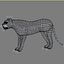 Leopard(1)